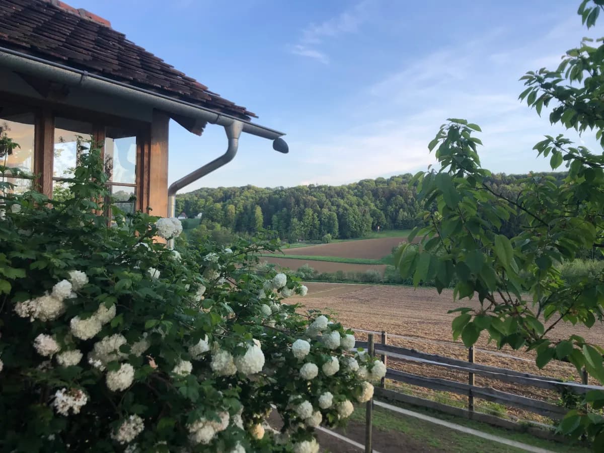 2-Zimmer-Haus kaufen in Leibnitz – 175 m², € 580.000 – Bild 9 von 25