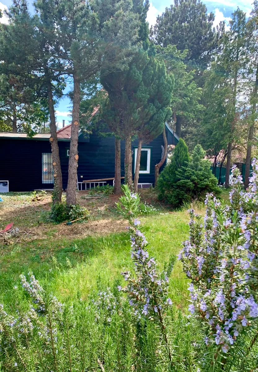 3-Zimmer-Haus mieten in Wien – 75 m², € 1.399 – Bild 7 von 30