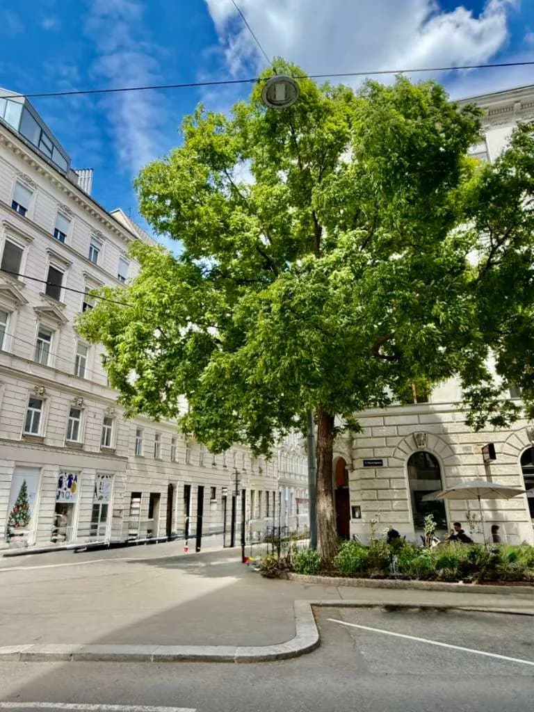 Gewerbeimmobilie mieten in Wien – 74 m², € 25