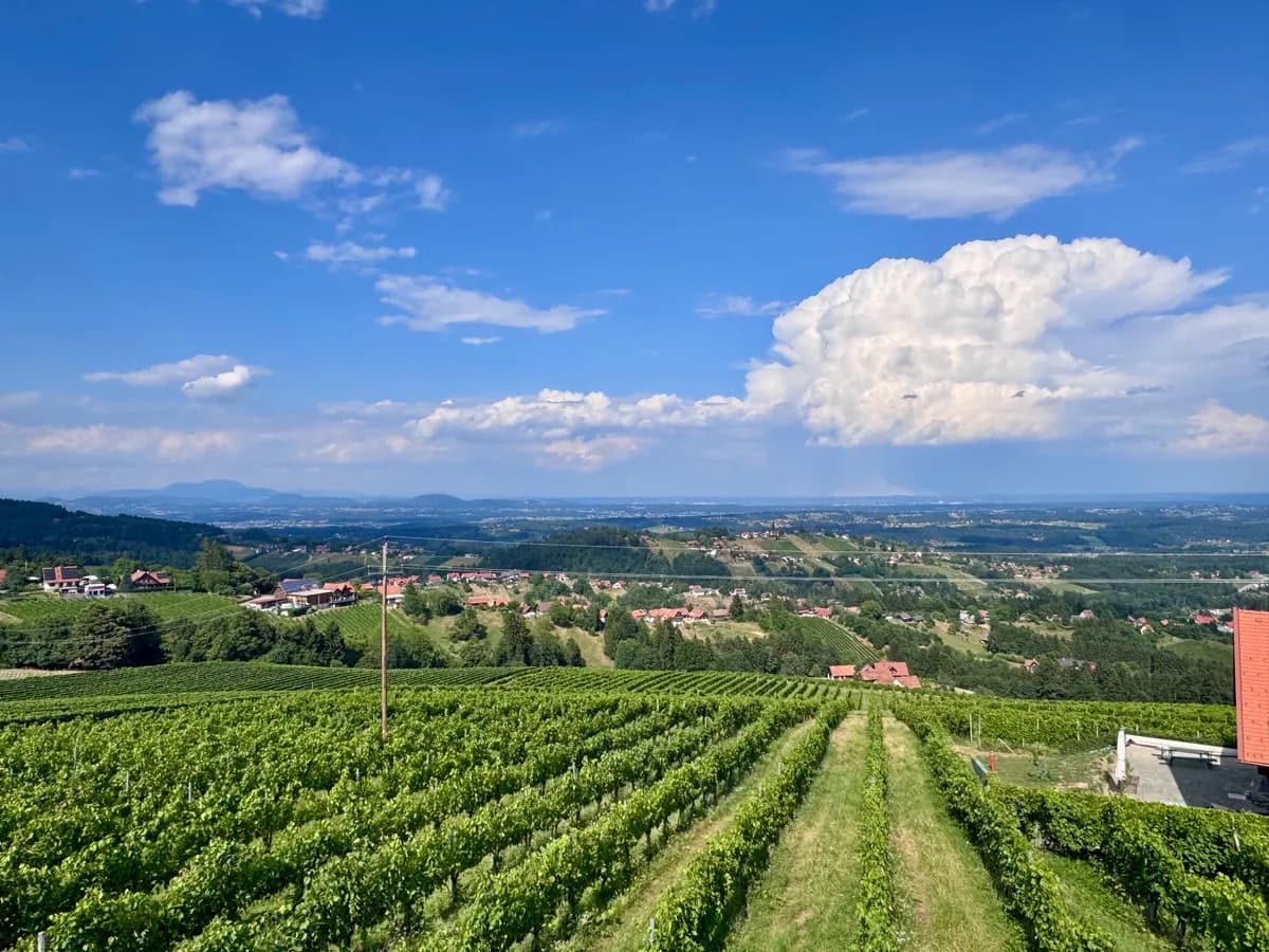 4-Zimmer-Haus mieten in Deutschlandsberg – 105 m², € 985 – Bild 2 von 15