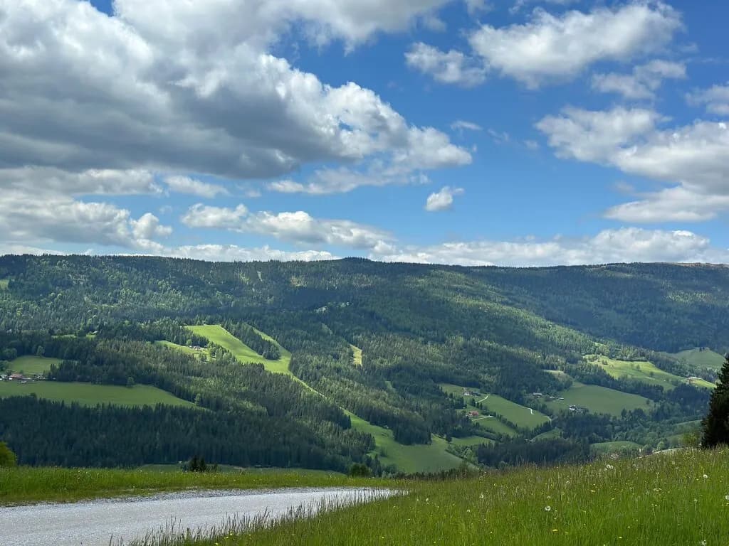 5-Zimmer-Haus kaufen in Voitsberg – 274 m², € 399.000 – Bild 7 von 32