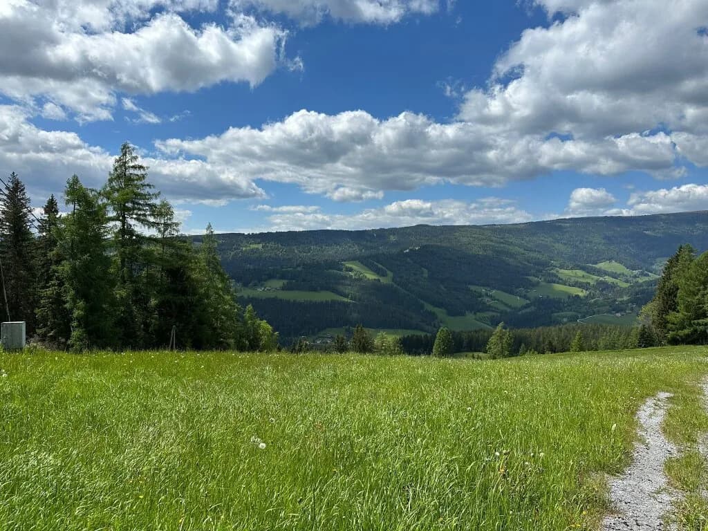 5-Zimmer-Haus kaufen in Voitsberg – 274 m², € 399.000 – Bild 9 von 32