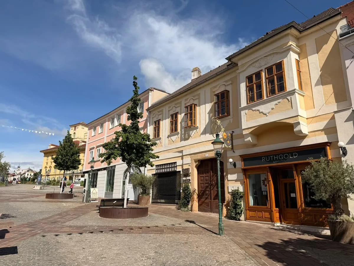 1-Zimmer-Gewerbeimmobilie mieten in Eisenstadt – 58 m², € 1.800 – Bild 2 von 9