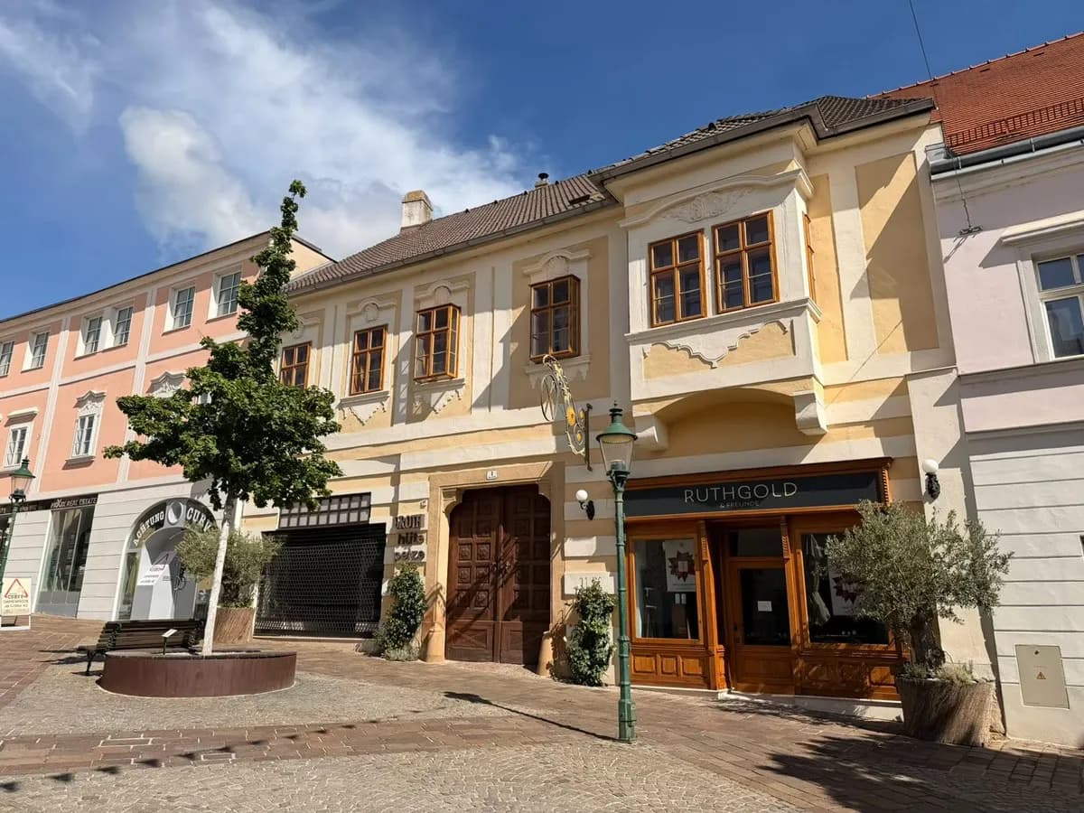 1-Zimmer-Gewerbeimmobilie mieten in Eisenstadt – 58 m², € 1.800 – Bild 3 von 9