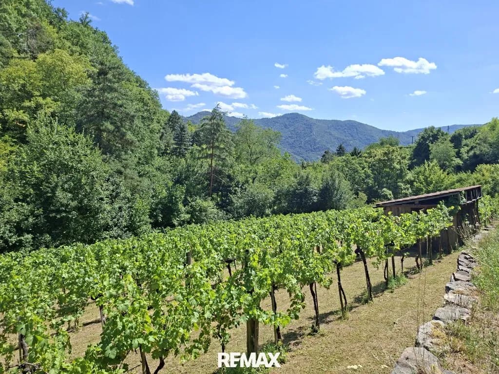 Grundstück kaufen in Krems Land – 1 719 m², € 25.000