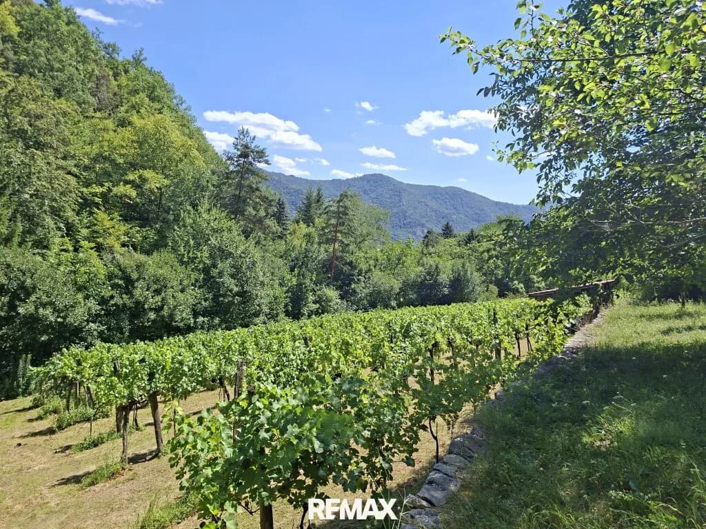 Grundstück kaufen in Krems Land – 1 719 m², € 25.000 – Bild 3 von 14