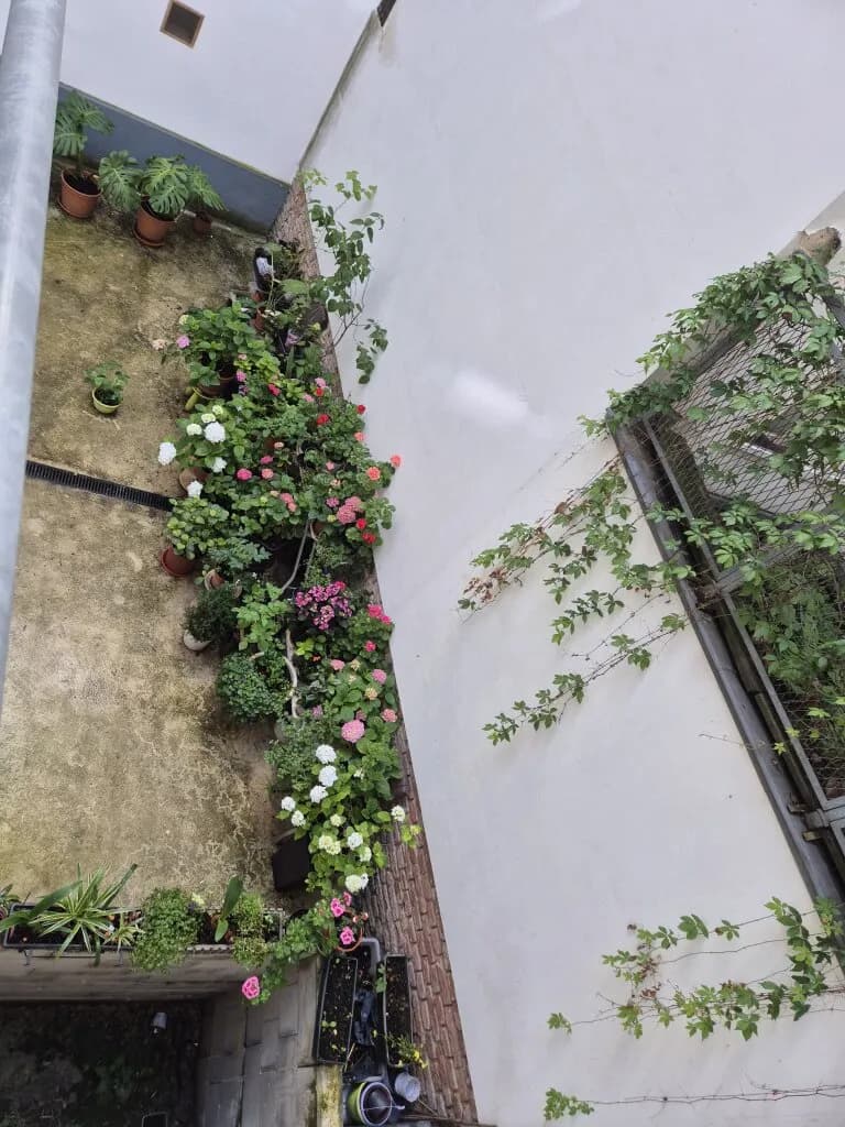 2-Zimmer-Wohnung kaufen in Wien – 45 m², € 259.000 – Bild 19 von 20
