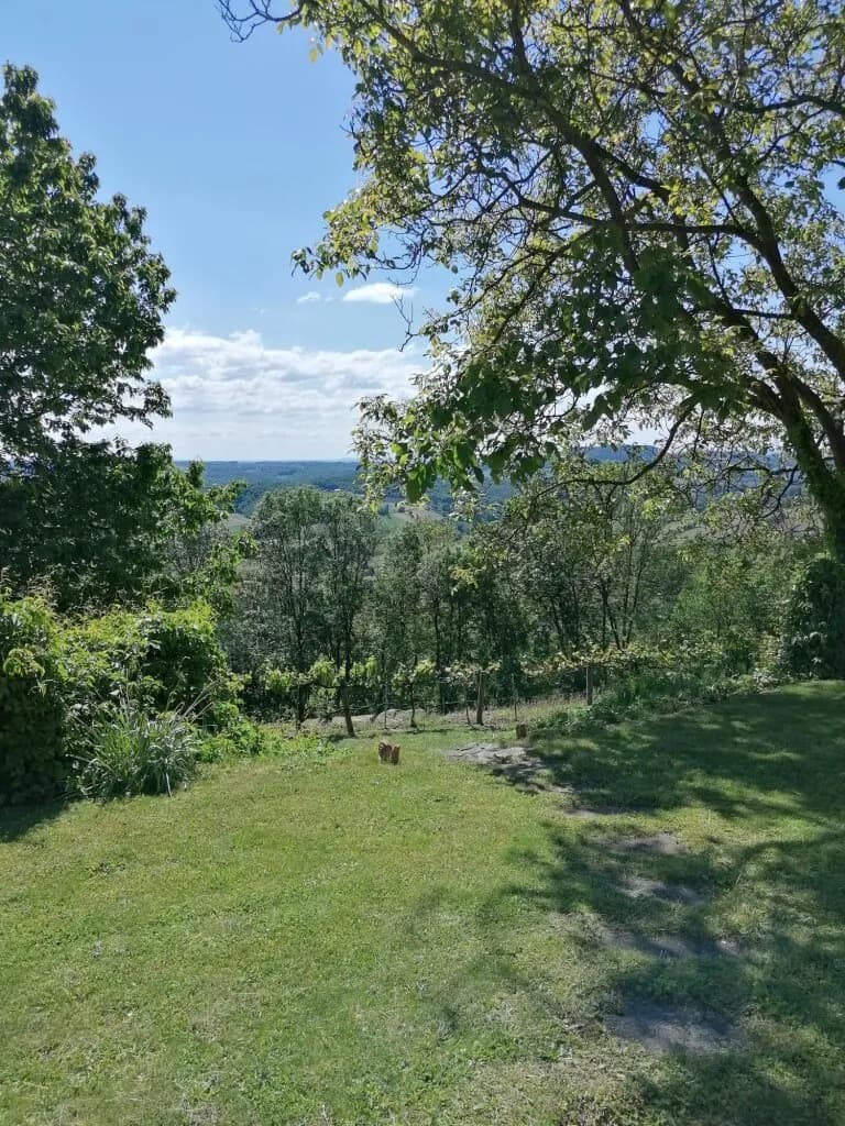 3-Zimmer-Wohnung kaufen in Südoststeiermark – 45 m², € 220.000 – Bild 41 von 48
