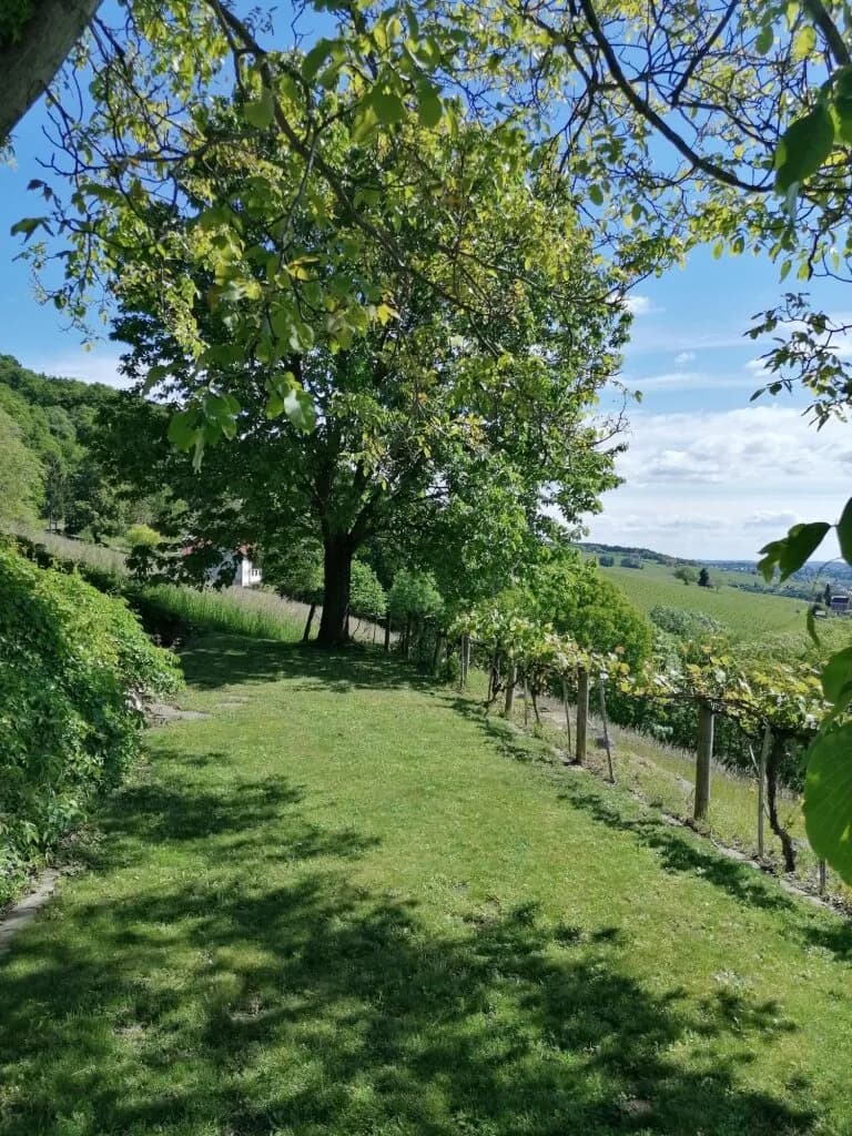 3-Zimmer-Wohnung kaufen in Südoststeiermark – 45 m², € 220.000 – Bild 45 von 48