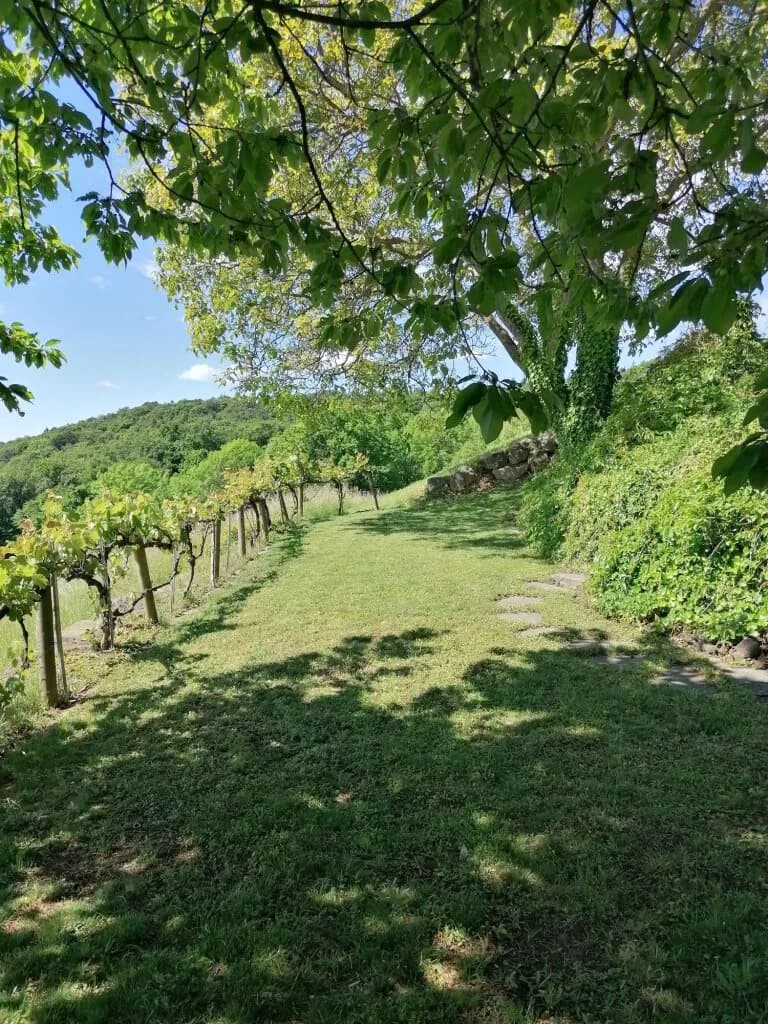 3-Zimmer-Wohnung kaufen in Südoststeiermark – 45 m², € 220.000 – Bild 47 von 48