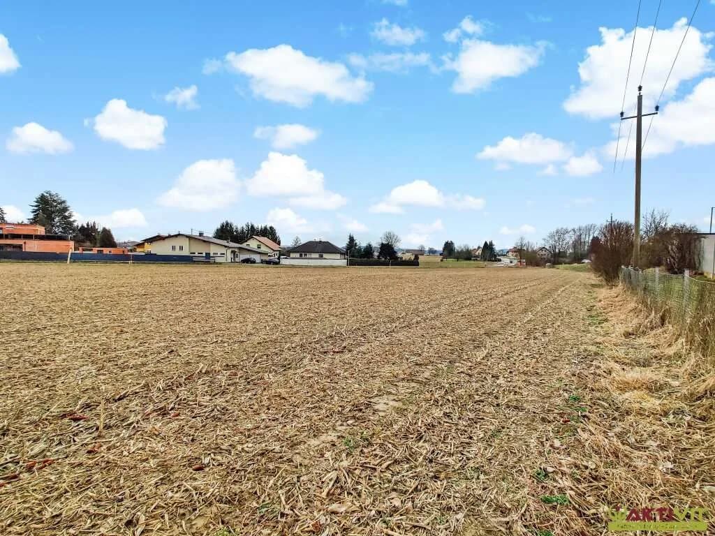 Immobilie mieten in Schärding – 6 494 m² – Bild 3 von 3