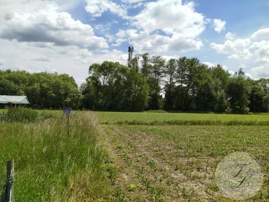 Grundstück kaufen in Weiz – 3 112 m², € 265.000 – Bild 2 von 4