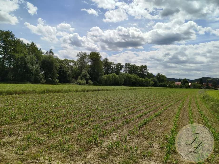 Grundstück kaufen in Weiz – 3 112 m², € 265.000 – Bild 3 von 4