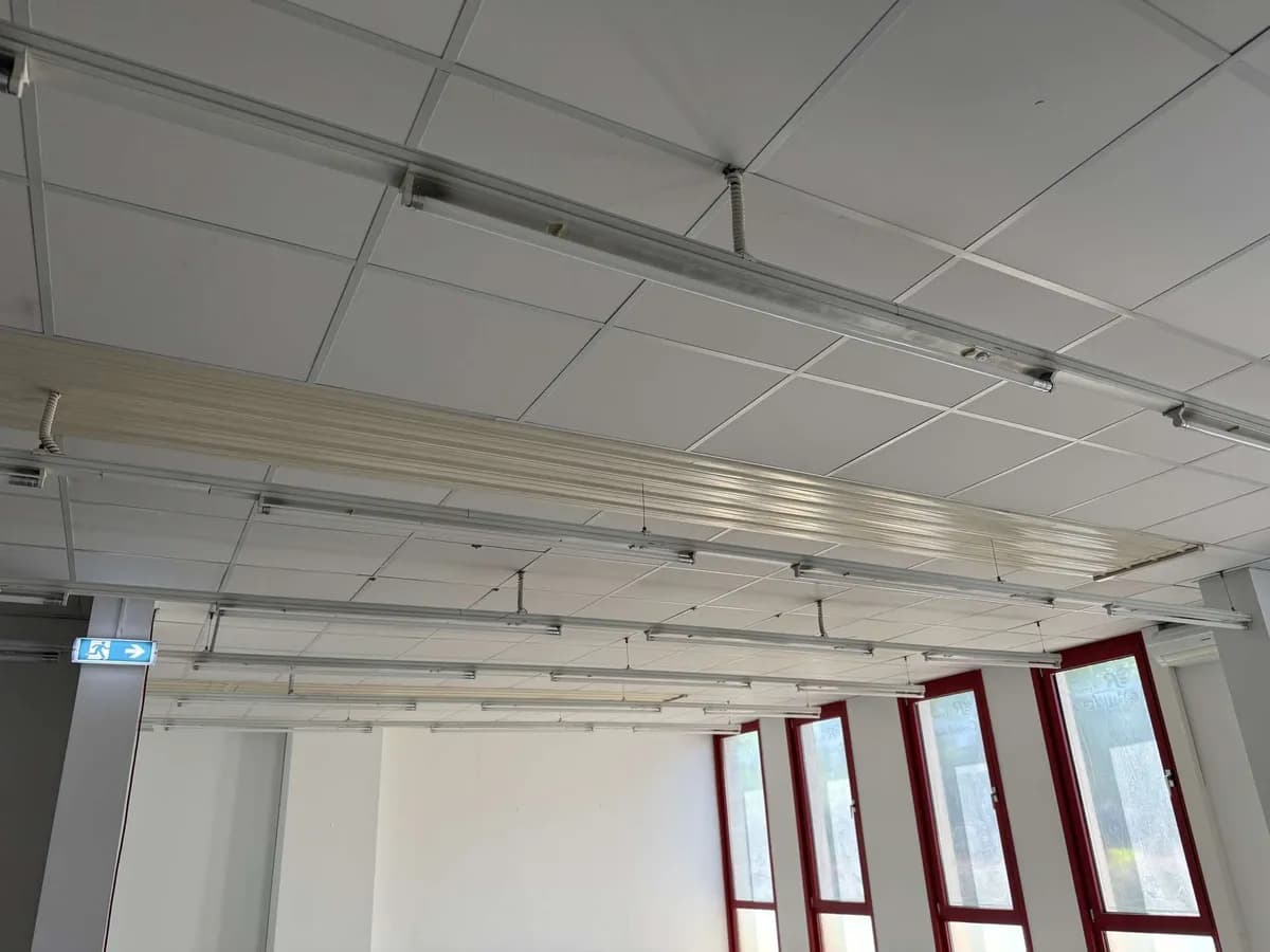 Gewerbeimmobilie mieten in Wien – 605 m², € 6.074 – Bild 7 von 18