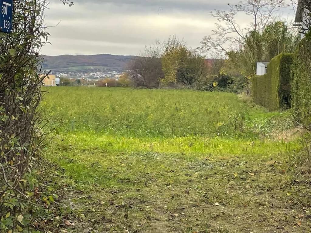 Grundstück kaufen in Eisenstadt - Umgebung – 859 m², € 170.000