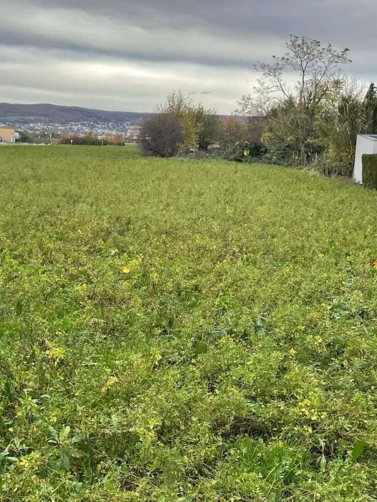 Grundstück kaufen in Eisenstadt - Umgebung – 859 m², € 170.000 – Bild 2 von 2