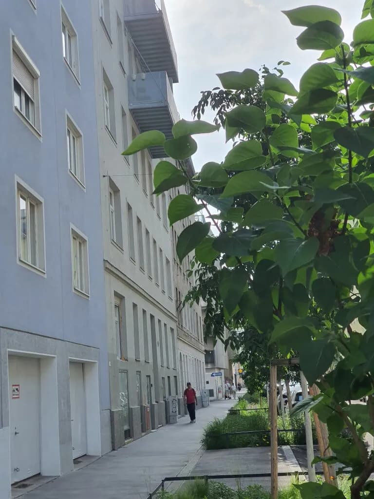 3-Zimmer-Wohnung kaufen in Wien – 68,05 m², € 199.000 – Bild 7 von 11