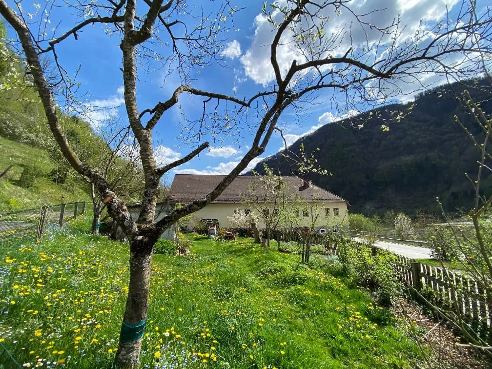 Immobilie kaufen in Steyr-Land – 480 m², € 570.000 – Bild 8 von 37