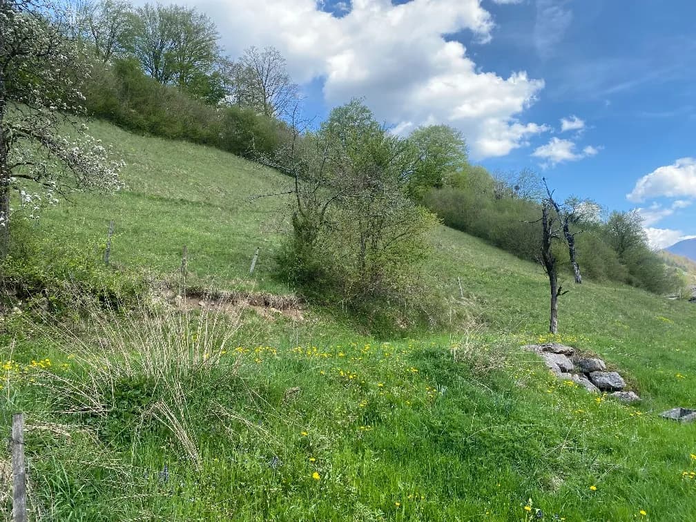 Immobilie kaufen in Steyr-Land – 480 m², € 570.000 – Bild 35 von 37
