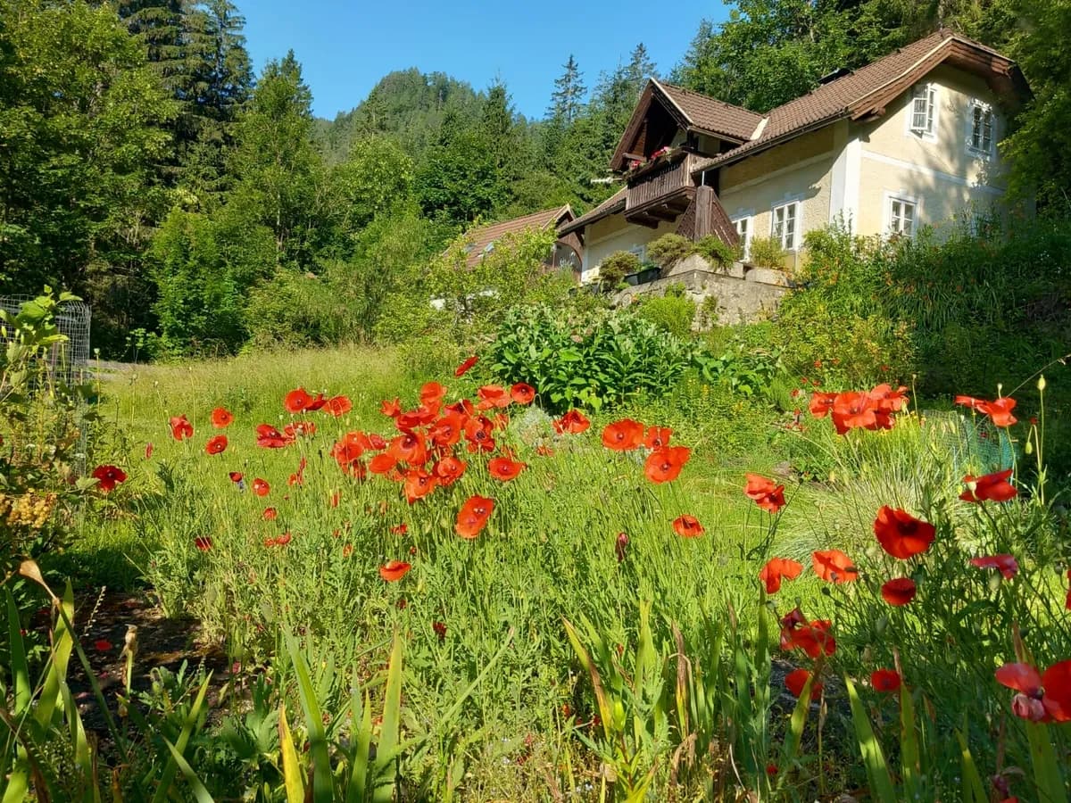4-Zimmer-Wohnung kaufen in Villach Land – 90 m², € 120.000 – Bild 7 von 26