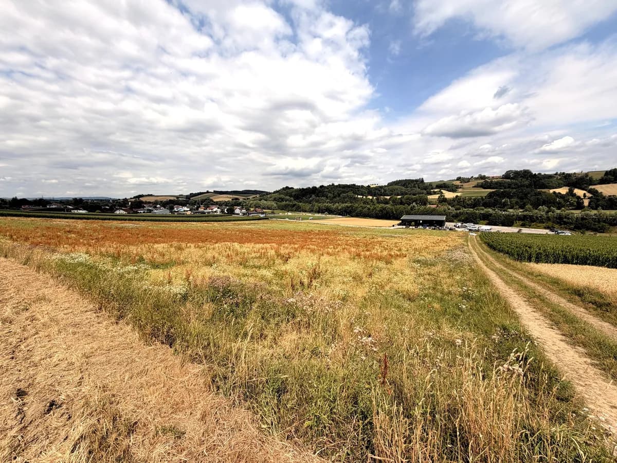 Immobilie kaufen in Grieskirchen – 27 725 m², € 5.545.000