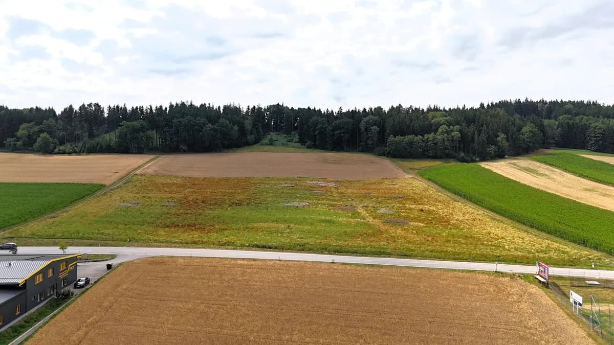 Immobilie kaufen in Grieskirchen – 27 725 m², € 5.545.000 – Bild 3 von 12