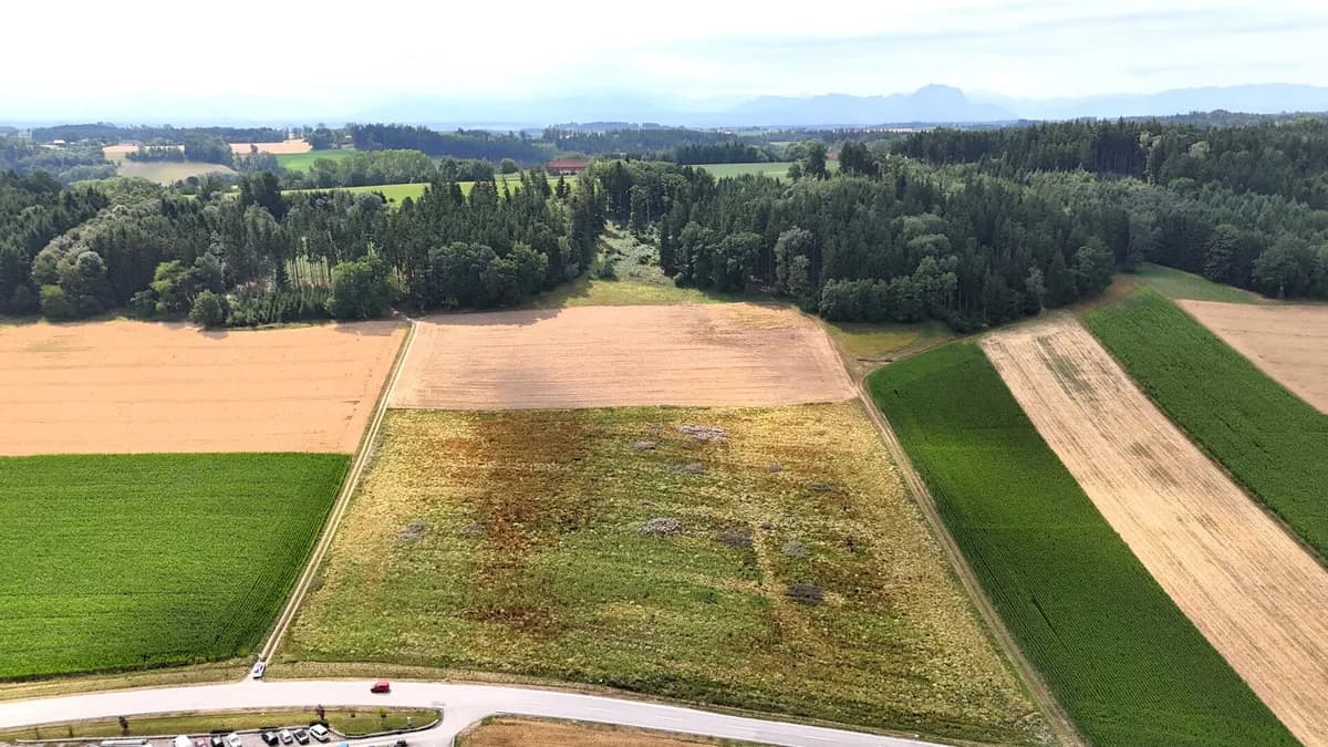 Immobilie kaufen in Grieskirchen – 27 725 m², € 5.545.000 – Bild 4 von 12