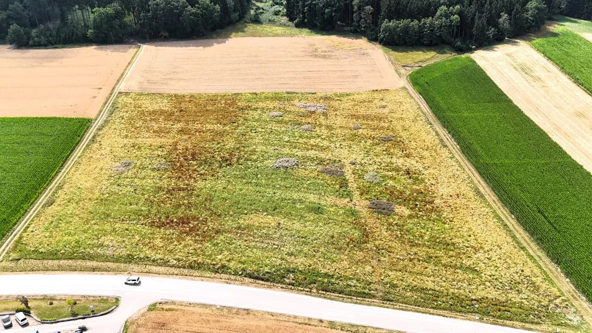 Immobilie kaufen in Grieskirchen – 27 725 m², € 5.545.000 – Bild 5 von 12
