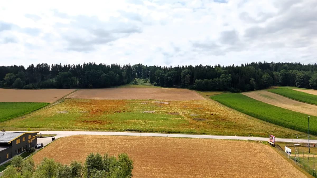 Immobilie kaufen in Grieskirchen – 27 725 m², € 5.545.000 – Bild 6 von 12