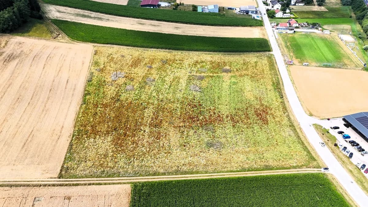 Immobilie kaufen in Grieskirchen – 27 725 m², € 5.545.000 – Bild 7 von 12
