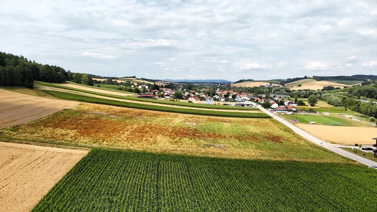 Immobilie kaufen in Grieskirchen – 27 725 m², € 5.545.000 – Bild 9 von 12
