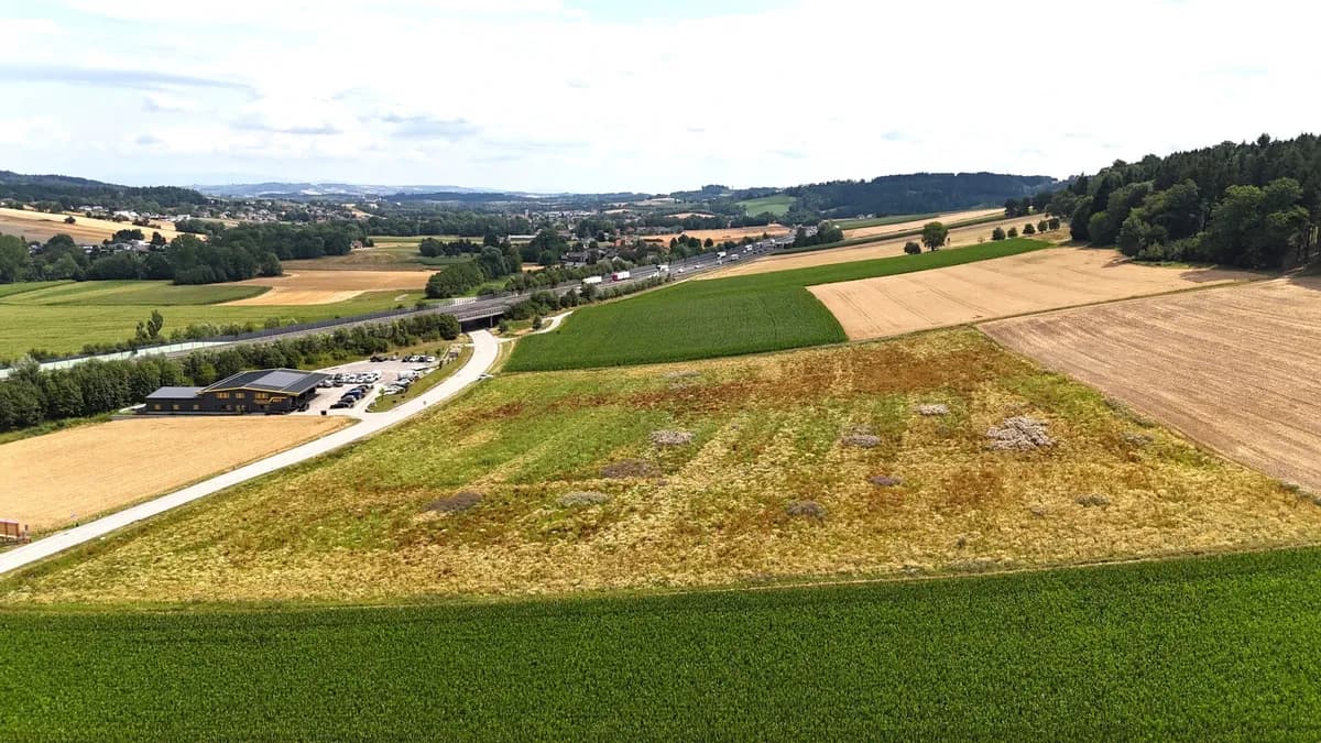 Immobilie kaufen in Grieskirchen – 27 725 m², € 5.545.000 – Bild 10 von 12