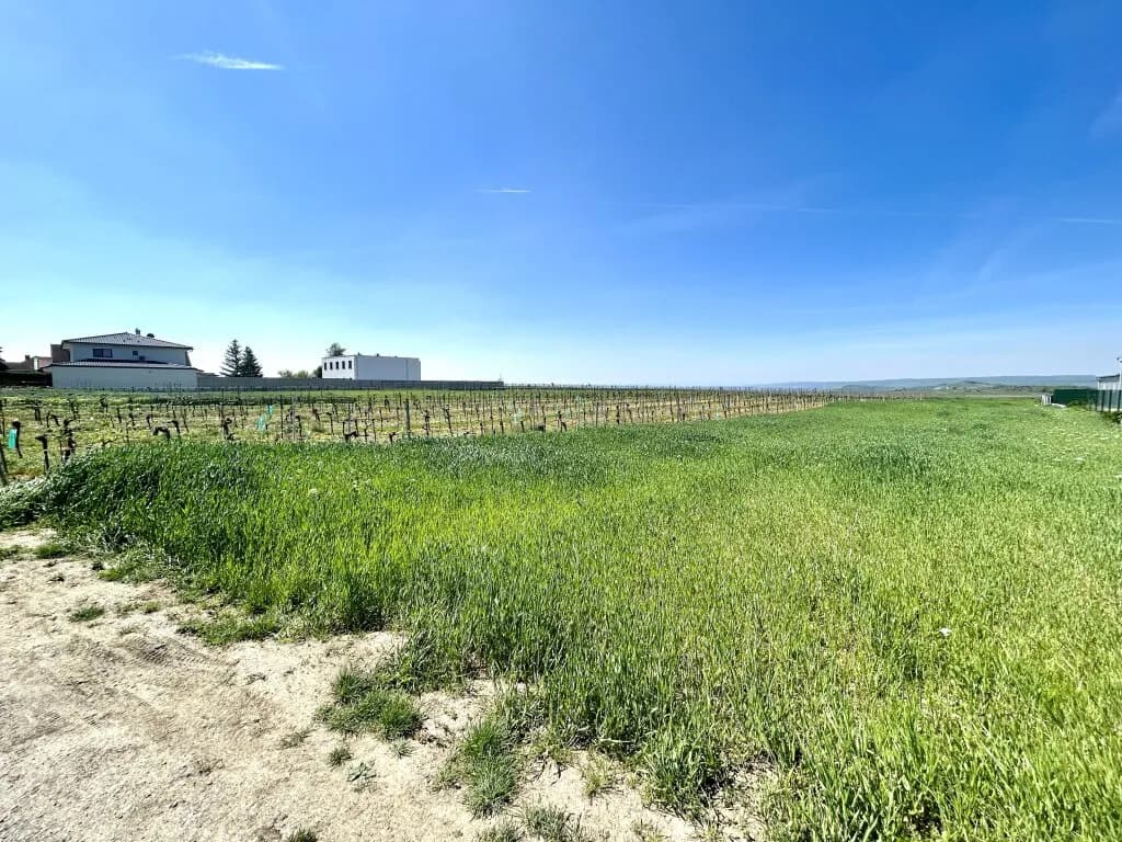 Grundstück kaufen in Neusiedl am See – 6 728 m², € 437.500