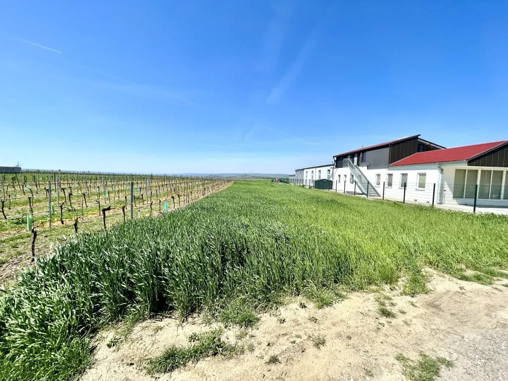 Grundstück kaufen in Neusiedl am See – 6 728 m², € 437.500 – Bild 2 von 2