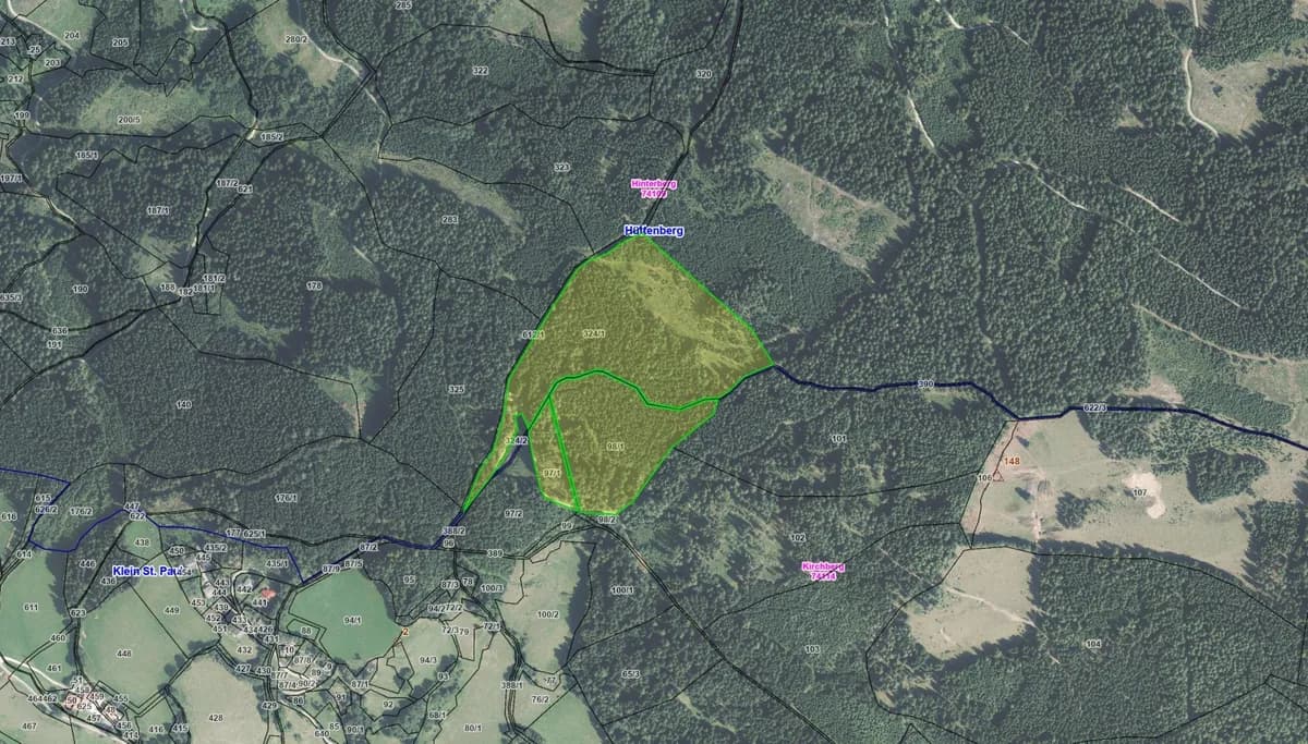Grundstück kaufen in Sankt Veit an der Glan – 84 853 m²