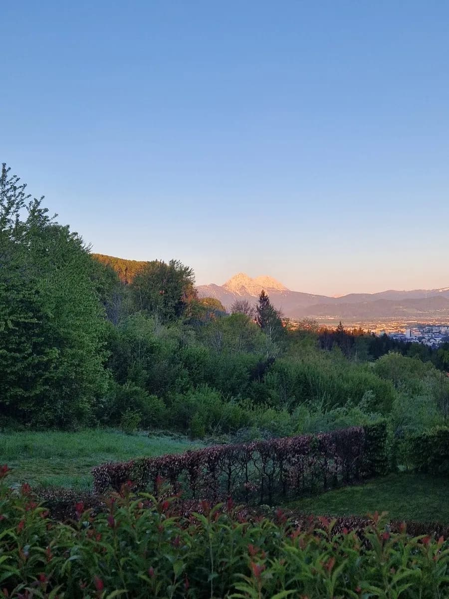 3-Zimmer-Wohnung mieten in Salzburg-Umgebung – 56 m², € 1.360 – Bild 19 von 21