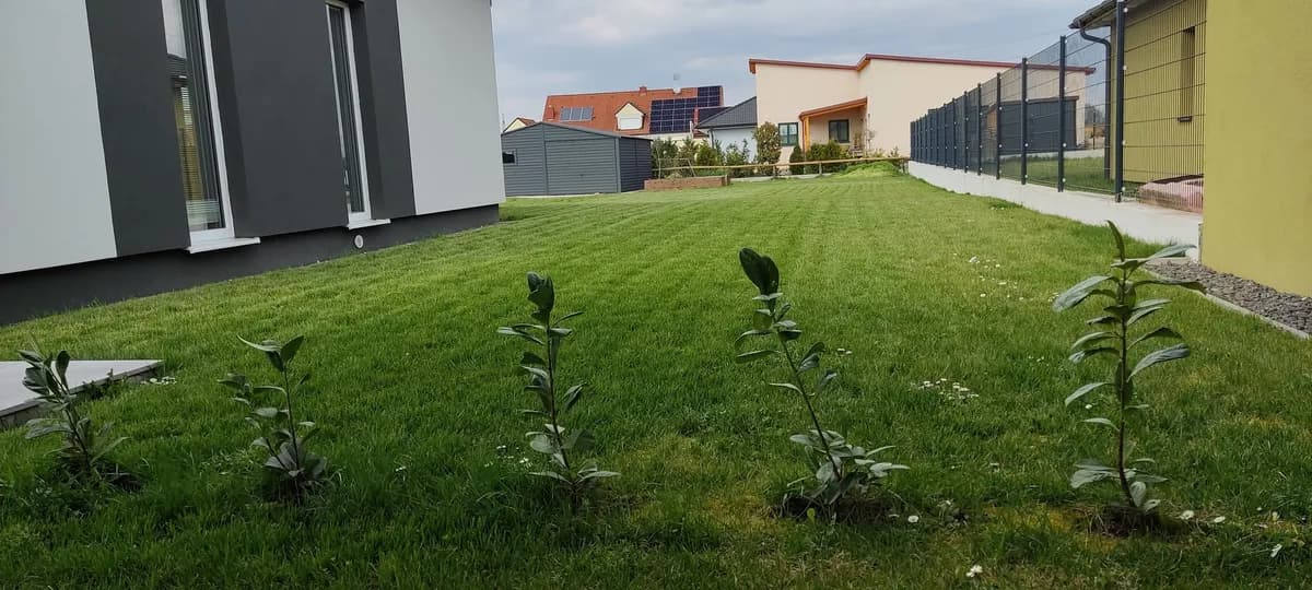 3-Zimmer-Haus kaufen in Mistelbach – 100 m², € 360.000 – Bild 3 von 15