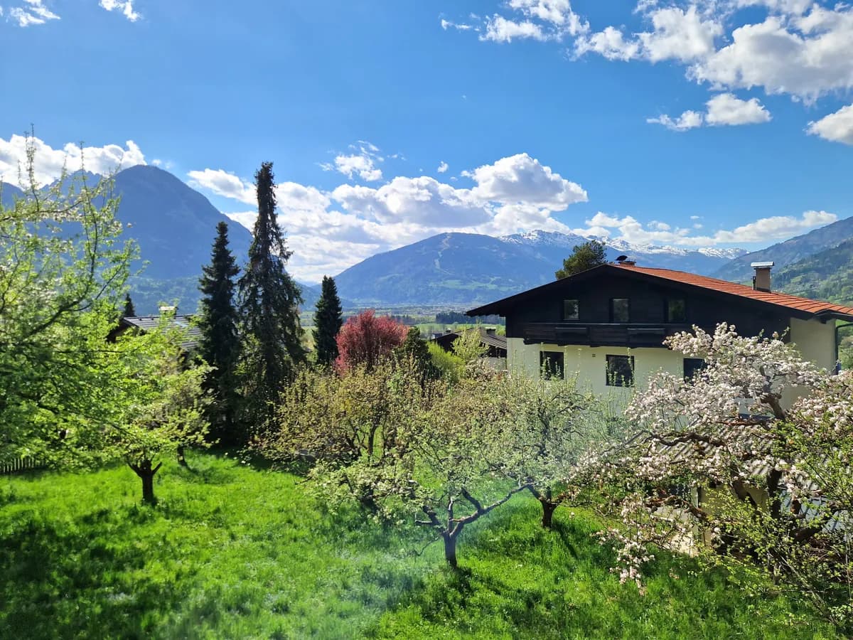 Gewerbeimmobilie kaufen in Lienz – 235 m², € 695.000