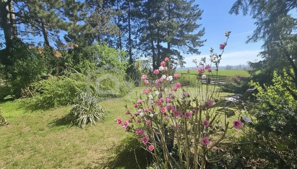 3-Zimmer-Haus kaufen in Mistelbach – 80 m², € 350.000 – Bild 3 von 7