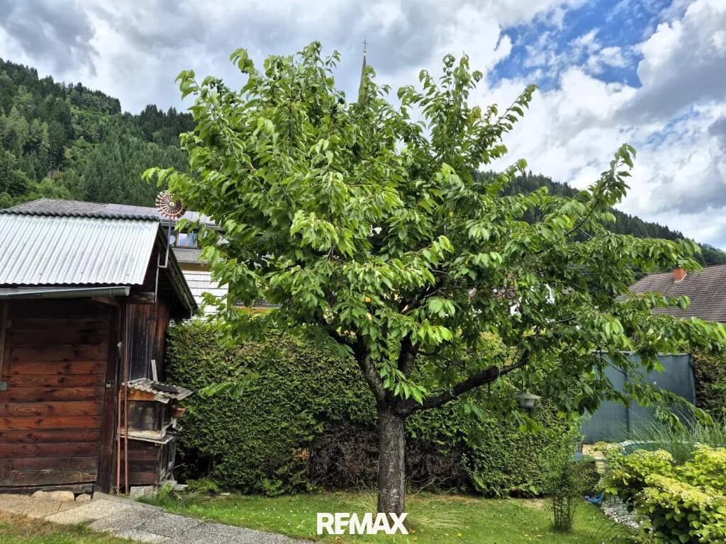 9-Zimmer-Gewerbeimmobilie kaufen in Murau – 195 m², € 289.000 – Bild 53 von 69