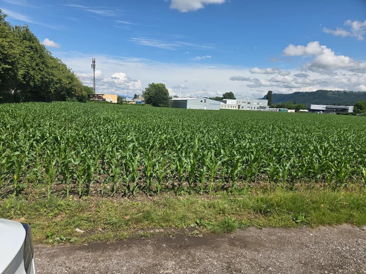 Gewerbeimmobilie mieten in Klagenfurt – 2 000 m², € 9 – Bild 3 von 4