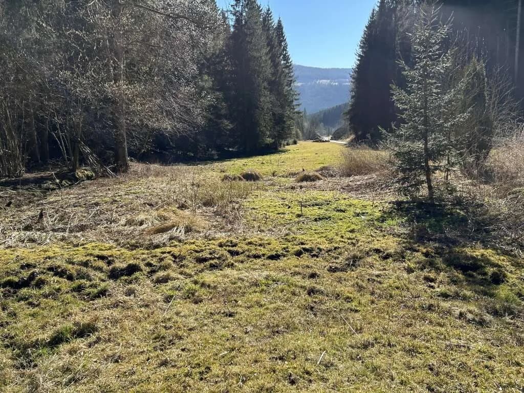 Immobilie kaufen in Sankt Veit an der Glan – 4 397 m², € 90.000 – Bild 5 von 8