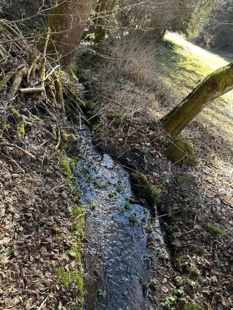 Immobilie kaufen in Sankt Veit an der Glan – 4 397 m², € 90.000 – Bild 6 von 8