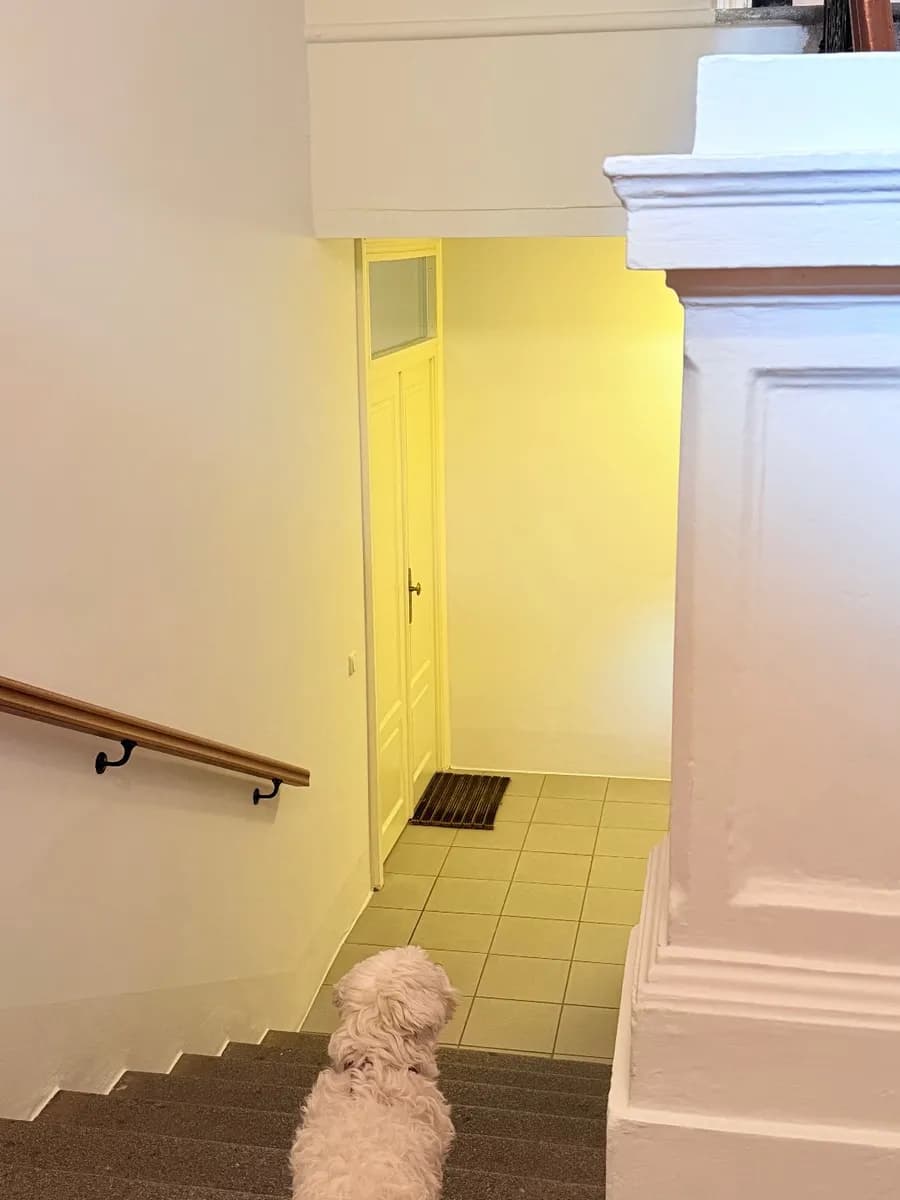 9-Zimmer-Wohnung kaufen in Gmunden – 220 m², € 1.485.000 – Bild 35 von 53