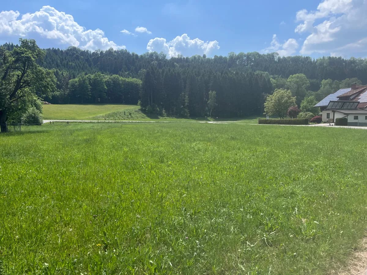 Grundstück kaufen in Vöcklabruck – 943 m², € 155.000