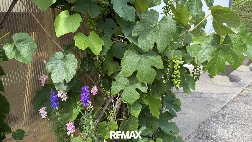 3-Zimmer-Haus kaufen in Oberwart – 102 m², € 89.000 – Bild 19 von 30
