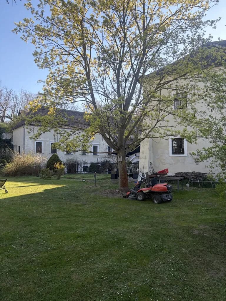 Immobilie kaufen in Hollabrunn – 870 m², € 1.200.000 – Bild 34 von 34