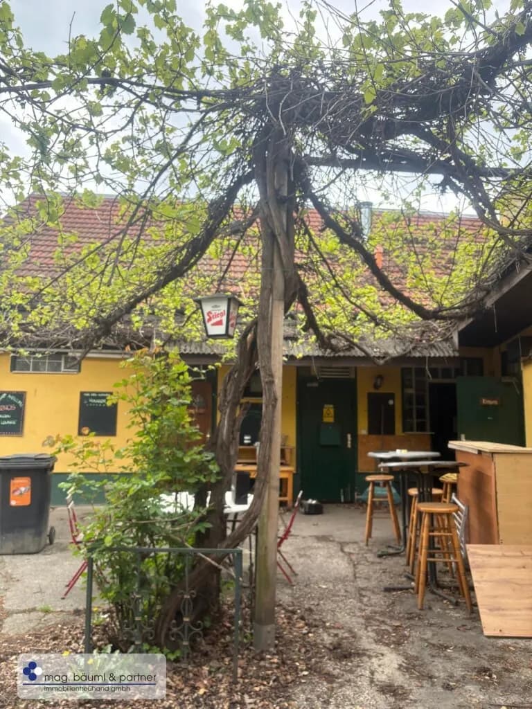 Immobilie kaufen in Wien – 709 m², € 780.000 – Bild 5 von 6