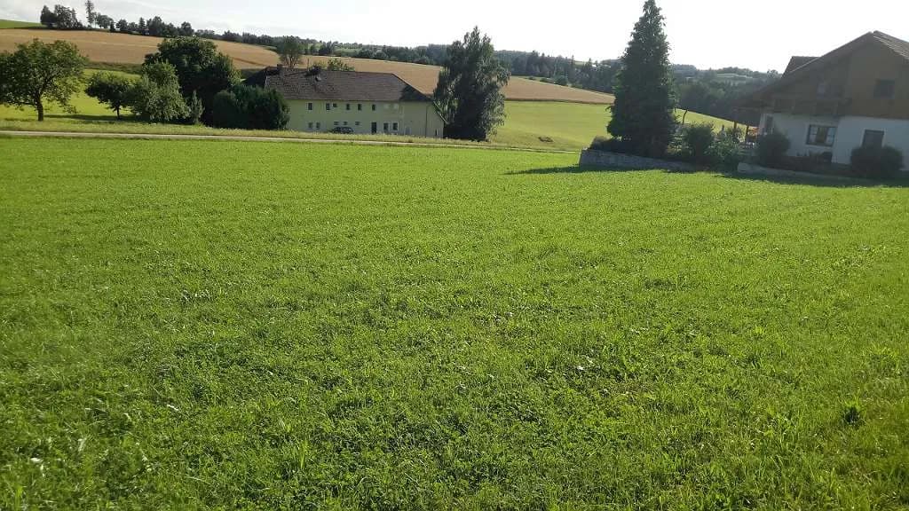 Grundstück kaufen in Rohrbach – 2 529 m², € 247.000