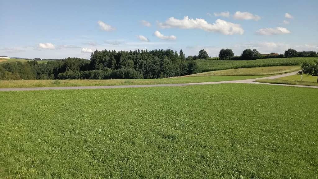 Grundstück kaufen in Rohrbach – 2 529 m², € 247.000 – Bild 2 von 3